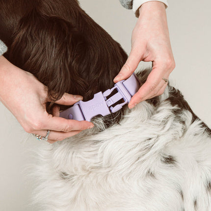 Halsband 'Ease'