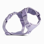 Lavender / XS