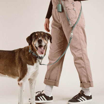 Walk Set