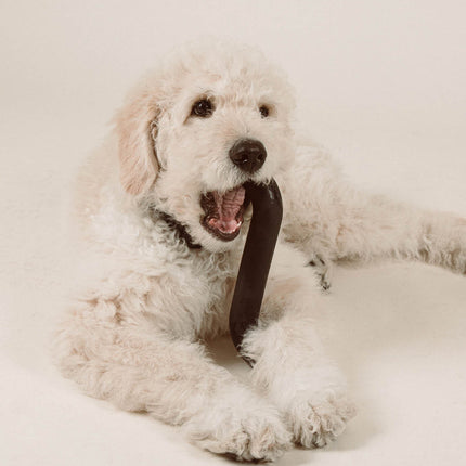 Rubber Bone