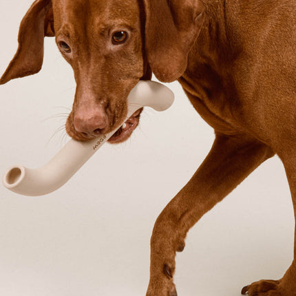 Rubber Bone