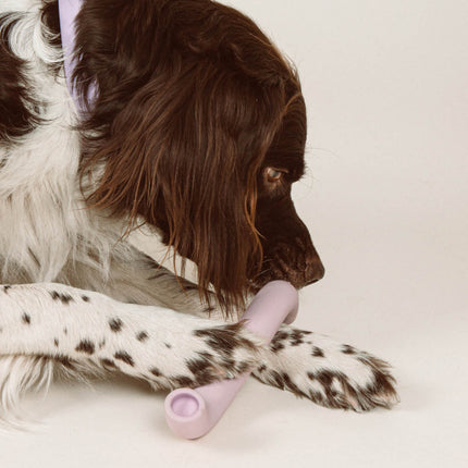 Rubber Bone