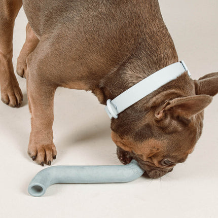 Rubber Bone