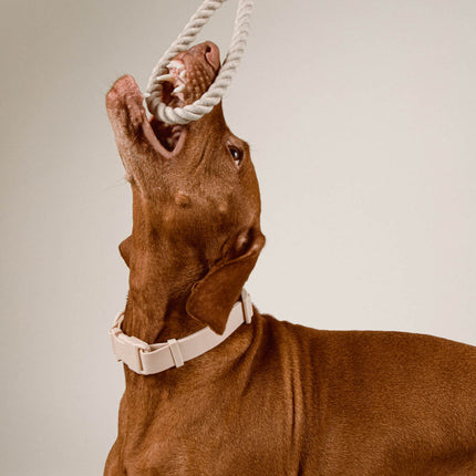 Twisted Rope Toy