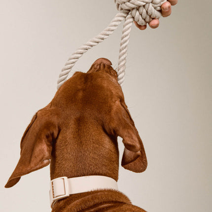 Twisted Rope Toy