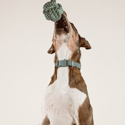Twisted Rope Toy