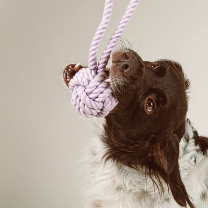 Twisted Rope Toy