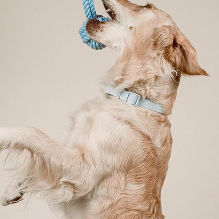 Twisted Rope Toy
