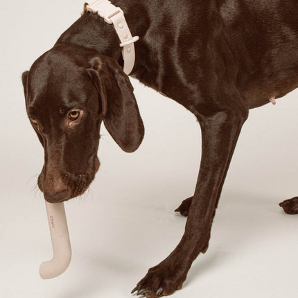 Rubber Bone