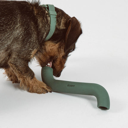 Rubber Bone