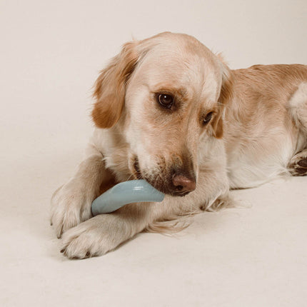 Rubber Bone