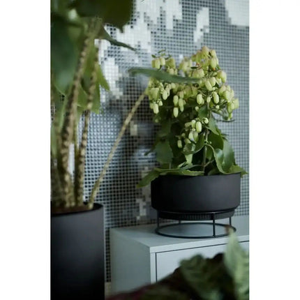 Moderne Elho B. for Studio Pflanzschale 30 cm in Living Black. Ideal für Zimmerpflanzen, wasserdicht & stilvoll.