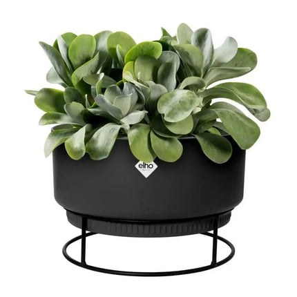 Moderne Elho B. for Studio Pflanzschale 30 cm in Living Black. Ideal für Zimmerpflanzen, wasserdicht & stilvoll.