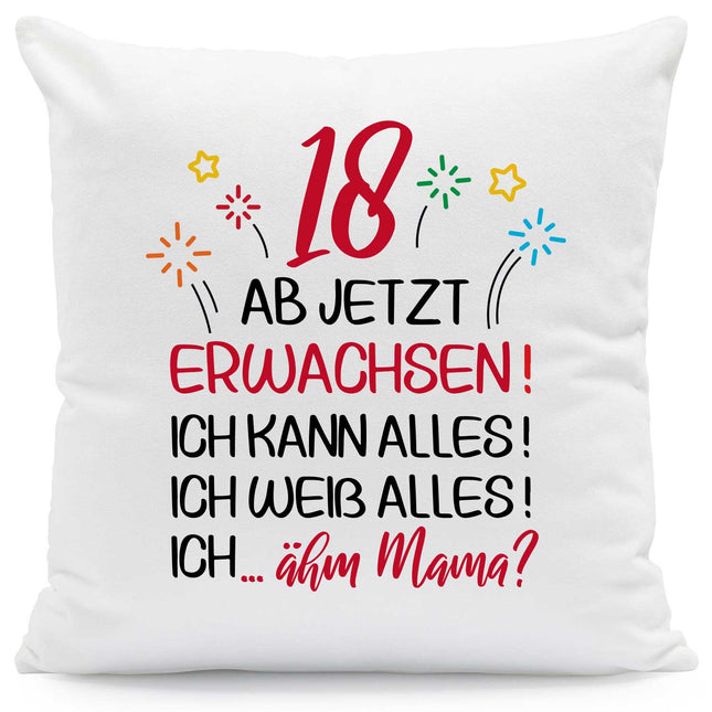 SEO. Bedrucktes Kissen mit Motiv Ab jetzt erwachsen 18 - ohne Füllung Linkreich