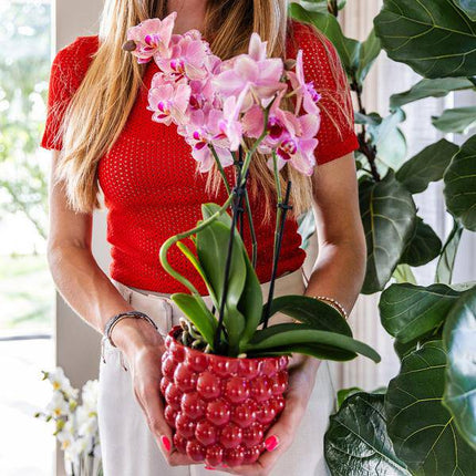 Beeren - Topf – Keramik Blumentopf Ø9cm – dekorativer Pflanzentopf in Rot für Zimmerpflanzen & Blumen (Plant) kaufen bei Linkreich – Jetzt entdecken!