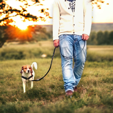 Anti-Stress-Geschirr STURMFREI®, Größe L
