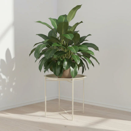 Beistelltisch Metalltisch beige rund 37x42 cm mit Tablett Tisch Ablagefläche Couchtisch (Beistelltisch) kaufen bei Linkreich – Jetzt entdecken!