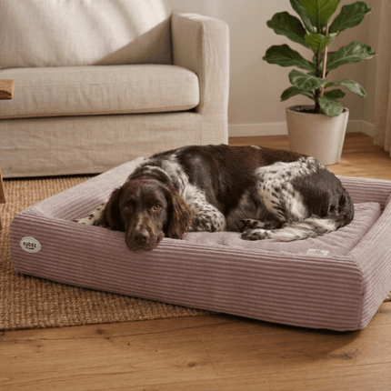 SEO. Bezug für MUMIN Cord - rose Linkreich