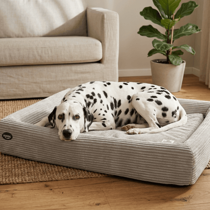 SEO. Bezug für MUMIN Cord - mirage grey Linkreich