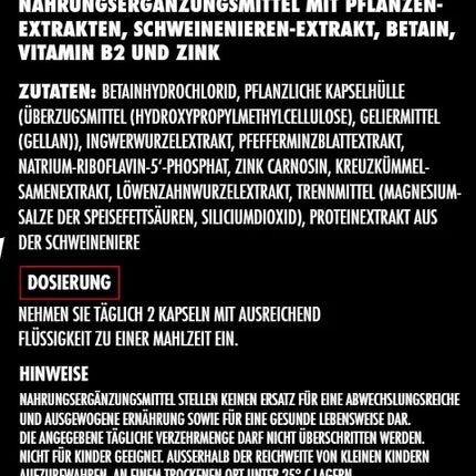 Big Zone Gut 60 Kapseln