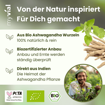 SEO. Bio Ashwagandha Kapseln - Einzeln Linkreich