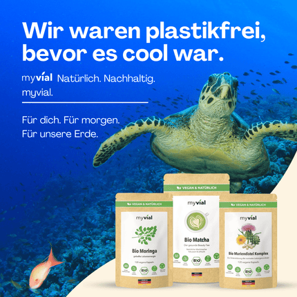 SEO. Bio Chaga Kapseln - Einzeln Linkreich