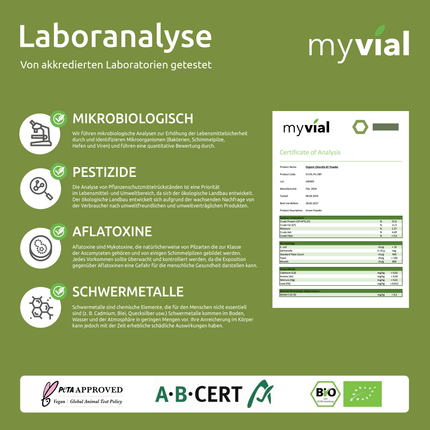 SEO. Bio Chlorella Pulver - Einzeln Linkreich