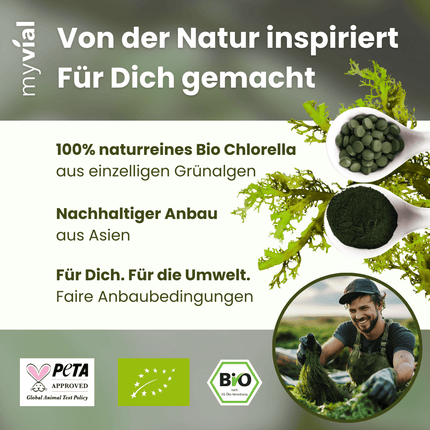 SEO. Bio Chlorella Pulver - Einzeln Linkreich