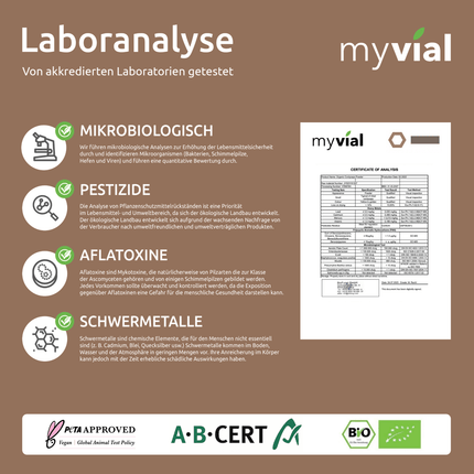 SEO. Bio Cordyceps Kapseln - Einzeln Linkreich
