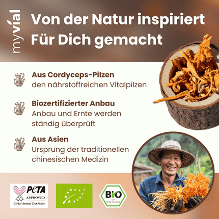 SEO. Bio Cordyceps Kapseln - Einzeln Linkreich