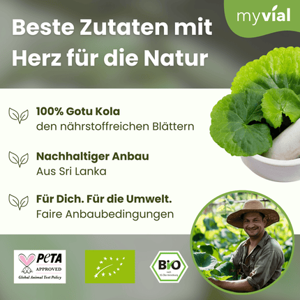 SEO. Bio Gotu Kola Pulver - Einzeln Linkreich
