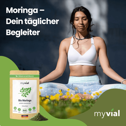 SEO. Bio Moringa Pulver - Einzeln Linkreich