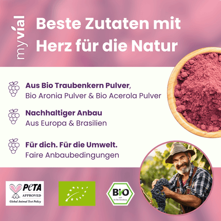SEO. Bio OPC Kapseln – Mit Traubenkern, Aroniapulver & Vitamin C - Einzeln Linkreich