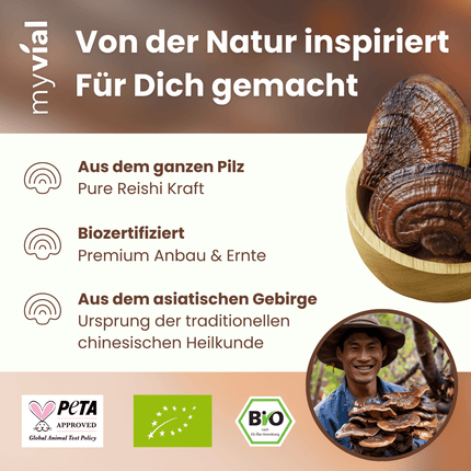 SEO. Bio Reishi Kapseln - Einzeln Linkreich