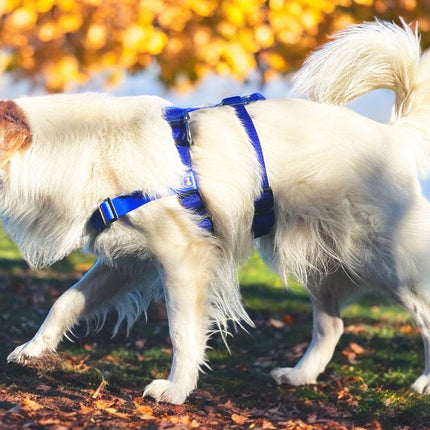Anti-Stress-Geschirr STURMFREI® Saver für mittlere und große Hunde