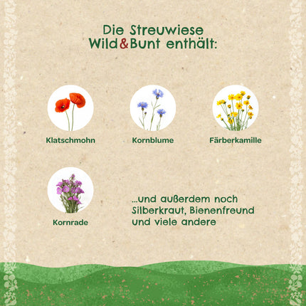 Streuwiese "Wild & Bunt"