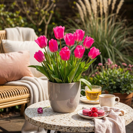 Blumenzwiebeln Tulpe Triumph Pink – 15 Stück – Rosa Tulpe – Für Beet, Balkon & Terrasse – Pflegeleicht (Plant) kaufen bei Linkreich – Jetzt entdecken!