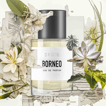 BORNEO - Eau de Parfum (Parfum) kaufen bei Linkreich – Jetzt entdecken!