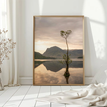 Buttermere Lone Tree – Lake District Wall Art Print