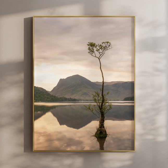 Buttermere Lone Tree – Lake District Wall Art Print