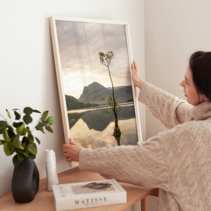 Buttermere Lone Tree – Lake District Wall Art Print