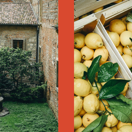 La Nostra Cucina Povera — Alltägliches italienisches Essen - Coffee Table Book