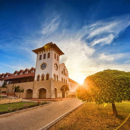 SEO. Cabernet Sauvignon de Purcari 2023 - Rotwein trocken aus Moldau - Linkreich