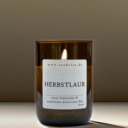 Herbstlaub Duftkerze – Handgefertigt aus Sojawachs & recyceltem Glas für gemütliche Herbstabende