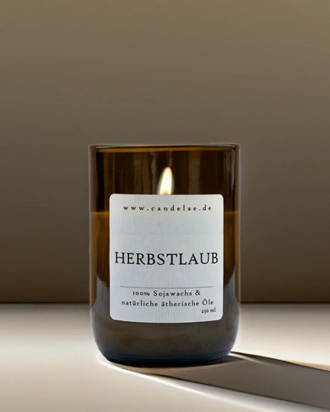 Herbstlaub Duftkerze – Handgefertigt aus Sojawachs & recyceltem Glas für gemütliche Herbstabende