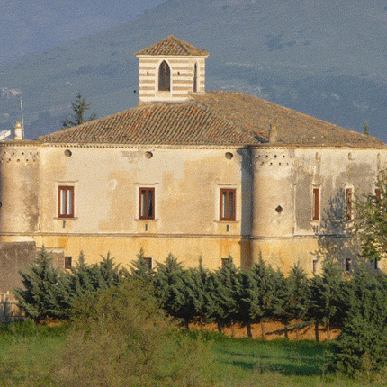 Magliocco DOP Terre di Cosenza