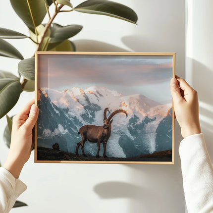 Ibex Sunrise in Chamonix - Wall Art Print of Mont Blanc