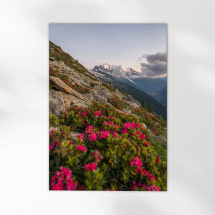 Mont Blanc Massif Wall Art - Chamonix Flowers Print