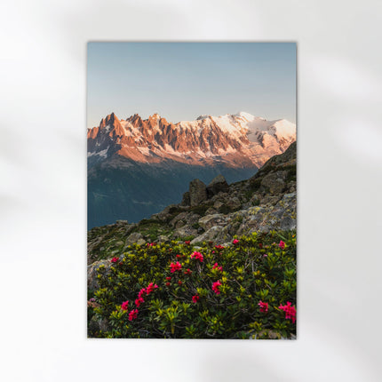 Mont Blanc Massif with Vibrant Flowers - Chamonix Wall Art Print