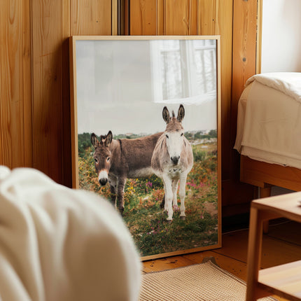 Donkeys in Connemara – Irish Countryside Wall Art Print